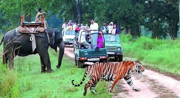Jim Corbett National Park