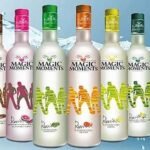 Magic Moments Vodka Price in India